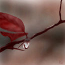 branch