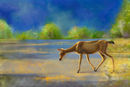 deer-crossing