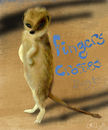 meerkat-good-luck
