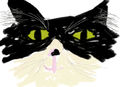 my-cat-prinsess