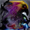 the-bird-of-manny-colo by Muse0maris