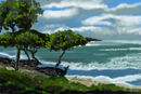 hawaii hawaii