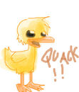 quack