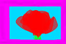 la-rose la-rose
