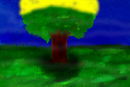 a-lone-tree-at-mid-day
