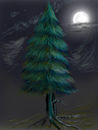 fir-tree