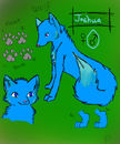 joshua-the-wolf joshua-the-wolf