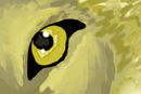 realism-wolf-eye