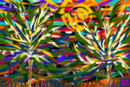 colorful-landscape