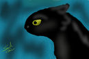 night-fury night-fury