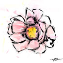 flower flower