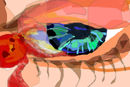 el-ojo-que-llora-sange