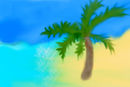 palm-beach