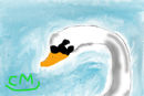 swan