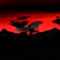 land by marqueese