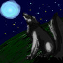 wolf-in-the-night