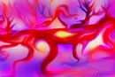 trees-and-roots