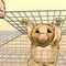hegiri-hamster by spawnofsanta
