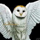 deftones