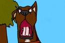 my-dog-finds-out-he-go
