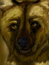 wilddog