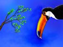a-nature a-nature