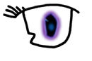 a-new-pair-of-eyes