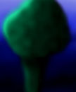 sea-plant