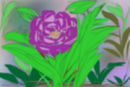 my-flower