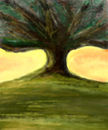 alone-tree