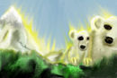 bear bear