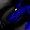 the-guard-dog by ILGN