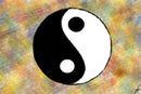 ying-yang ying-yang