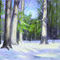winter-in-forest by taneman