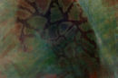abbvi