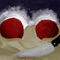 pomergrenates by blackrose666