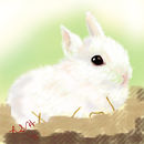 bunny-baby