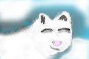 arctic-fox arctic-fox
