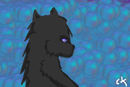 shadow