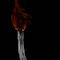 put-the-wild-flame-out by limegreenrain