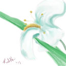 fleur