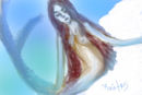 sexy-mermaid
