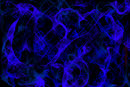 abstract
