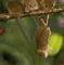 threes-a-crowd by marilens