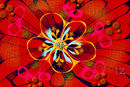 flower flower