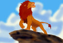 simba
