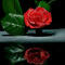 pink by marilens