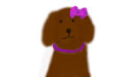 a-dog a-dog