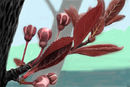 late-spring