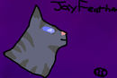 jayfeather